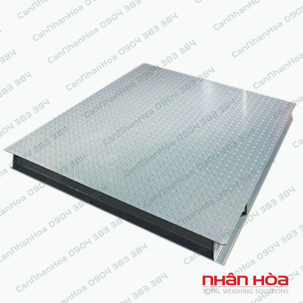 Cân sàn điện tử IND8201