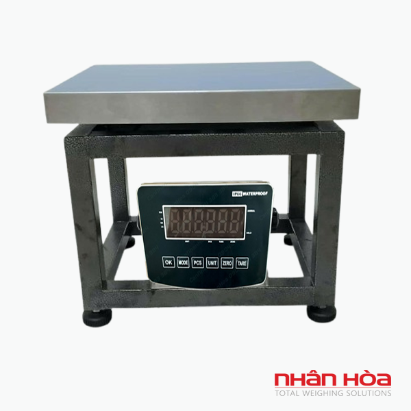 Cân ghế điện tử IND8201